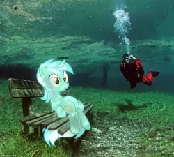 Size: 500x450 | Tagged: safe, derpibooru import, lyra heartstrings, human, pony, bench, flood, irl, meme, photo, ponies in real life, sitting, sitting lyra, underwater, vector