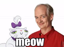 Size: 600x447 | Tagged: colin mochrie, derpibooru import, image macro, meow, opalescence, safe, whose line is it anyway