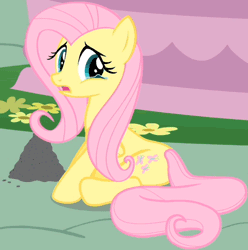 Size: 512x517 | Tagged: safe, derpibooru import, screencap, fluttershy, philomena, pegasus, pony, a bird in the hoof, animated, ash, blinking, cropped, crying, cute, female, frown, looking at you, looking back, loop, mare, sad, sadorable, solo, teary eyes