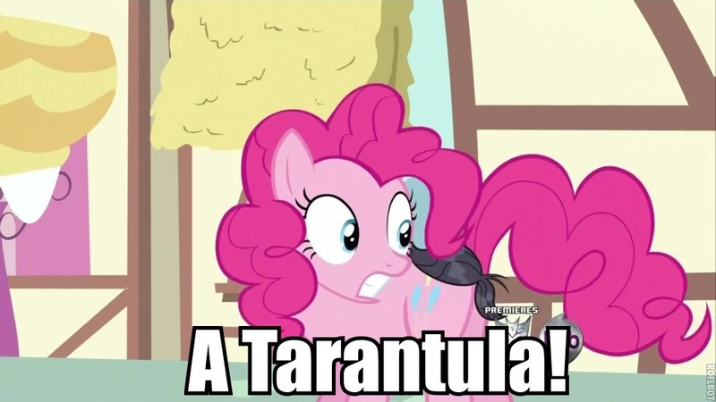 Size: 960x540 | Tagged: a friend in deed, cropped, derpibooru import, edit, edited screencap, hub logo, image macro, pinkie pie, safe, screencap, the three stooges, toupee