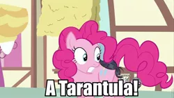 Size: 960x540 | Tagged: a friend in deed, cropped, derpibooru import, edit, edited screencap, hub logo, image macro, pinkie pie, safe, screencap, the three stooges, toupee