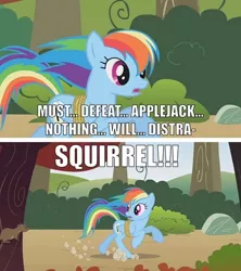 Size: 500x562 | Tagged: bound wings, comic, derpibooru import, dug, edit, edited screencap, fall weather friends, image macro, looking back, rainbow dash, running, safe, screencap, screencap comic, solo, squirrel, up