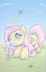 Size: 577x900 | Tagged: artist:cow41087, derpibooru import, flower, fluttershy, flying, ladybug, rainbow dash, safe