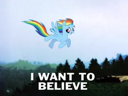 Size: 1024x768 | Tagged: safe, derpibooru import, rainbow dash, pony, caption, i want to believe, image macro, irl, photo, ponies in real life, the x files, vector