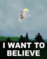 Size: 600x750 | Tagged: safe, derpibooru import, derpy hooves, pegasus, pony, blurry, caption, female, i want to believe, irl, mare, photo, ponies in real life, the derp is out there, the x files