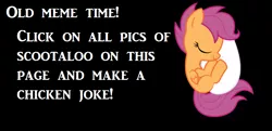 Size: 788x382 | Tagged: derpibooru import, egg, exploitable meme, old meme, safe, scootachicken, scootaloo, text