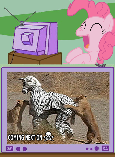 Size: 563x770 | Tagged: safe, derpibooru import, pinkie pie, pony, exploitable meme, jackass, meme, tv meme, wild boyz