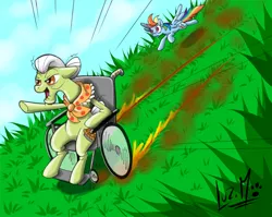 Size: 850x675 | Tagged: artist:chocolatechilla, derpibooru import, flying, fuck the police, granny smith, grass, rainbow dash, safe, spread wings, wheelchair, wings