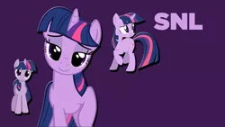 Size: 1920x1080 | Tagged: actress, derpibooru import, host, safe, saturday night live, tara strong, title card, twilight sparkle