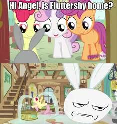 Size: 500x531 | Tagged: 2 panel comic, angel bunny, apple bloom, are you serious, comic, crying, cutie mark crusaders, derpibooru import, edit, edited screencap, face swap, fluttershy, meme, ocular gushers, ponyville confidential, rage face, river of tears, safe, scootaloo, screencap, sweetie belle