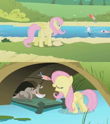 Size: 576x648 | Tagged: safe, derpibooru import, edit, edited screencap, screencap, fluttershy, ferret, fish, pegasus, pony, dragonshy, griffon the brush off, carnivore, circle of life, comic, comparison, dead, eyes closed, feeding, female, fridge horror, implied murder, juxtaposition, mare, nature, open mouth, out of context, plot, screencap comic, smiling, you know for kids