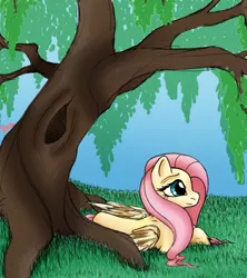 Size: 800x900 | Tagged: safe, artist:vampire-angel13, derpibooru import, fluttershy, pegasus, pony, female, folded wings, looking away, mare, outdoors, prone, solo, tree, under the tree, wings