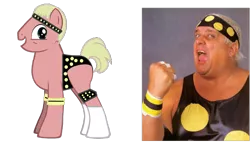 Size: 700x398 | Tagged: derpibooru import, dusty rhodes, human, irl, photo, ponified, safe, wwe