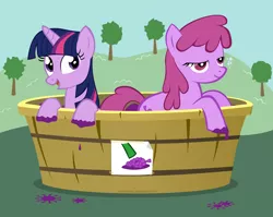 Size: 2040x1627 | Tagged: artist:misteraibo, berry punch, berryshine, derpibooru import, food, grapes, grape stomping, implied, safe, twilight sparkle, vector