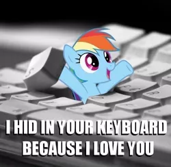 Size: 500x487 | Tagged: safe, derpibooru import, rainbow dash, pegasus, pony, arms in the air, bronybait, cute, dashabetes, female, i hid in your keyboard, image macro, irl, keyboard, looking up, mare, meme, open mouth, photo, ponies in real life, smiling, solo