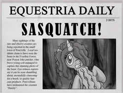 Size: 800x600 | Tagged: artist:subtlepixel, derpibooru import, equestria daily, hairity, newspaper, poison joke, rarity, safe, sasquatch