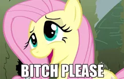 Size: 500x317 | Tagged: bitch please, caption, derpibooru import, fluttershy, high, image macro, reaction image, safe, vulgar