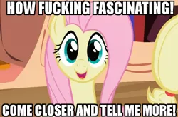 Size: 500x327 | Tagged: caption, derpibooru import, fascinating, fluttershy, image macro, reaction image, safe, sarcasm, vulgar