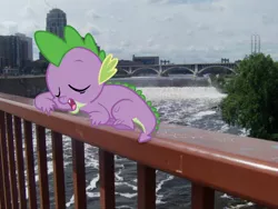 Size: 600x450 | Tagged: derpibooru import, edit, irl, minneapolis, minnesota, mississippi river, photo, ponies in real life, river, safe, sleeping, solo, spike