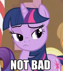 Size: 440x500 | Tagged: caption, derpibooru import, image macro, reaction image, safe, twilight sparkle