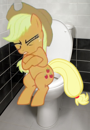 Size: 314x452 | Tagged: applejack, but why, constipated, derpibooru import, irl, photo, ponies in real life, potty, potty time, safe, toilet