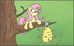 Size: 1920x1200 | Tagged: safe, artist:finalflutter, derpibooru import, fluttershy, bee, pegasus, pony, bandage, beehive, insect on nose, solo, tree