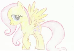 Size: 3425x2375 | Tagged: safe, artist:ed-skar, derpibooru import, fluttershy, colored, sketch