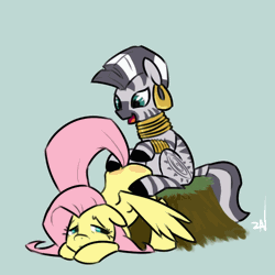 Size: 600x600 | Tagged: suggestive, artist:ponchuzn, derpibooru import, fluttershy, zecora, pegasus, pony, zebra, animated, butt bongo fiesta, drums, face down ass up, floppy ears, gray background, looking down, open mouth, plot, red butt, simple background, sitting, smiling, tree stump
