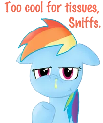 Size: 657x787 | Tagged: artist:ajmstudios, cool, cooler, derpibooru import, meme, mucous, rainbow dash, safe, snot, solo, text