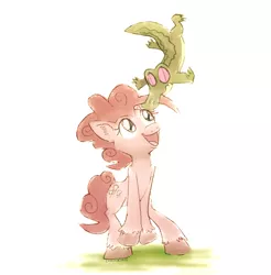 Size: 1000x1015 | Tagged: safe, artist:comickit, derpibooru import, gummy, pinkie pie, unshorn fetlocks