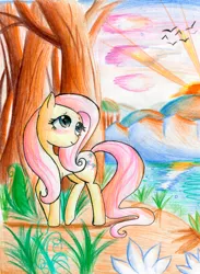 Size: 1296x1769 | Tagged: safe, artist:kazia-kat, derpibooru import, fluttershy, bird, sunrise