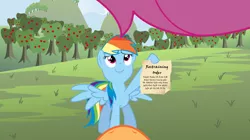 Size: 1024x572 | Tagged: pov, rainbow dash, safe, scootaloo, scootalove denied, scootavision, tree, troll