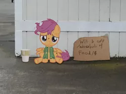 Size: 3264x2448 | Tagged: safe, artist:dilettantesucker, derpibooru import, scootaloo, clothes, homeless, image, png, ponies in real life, sad, scootabuse, scootalone, torn clothes, will x for y