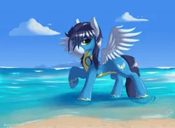 Size: 2500x1833 | Tagged: safe, artist:skipsy, derpibooru import, soarin', pegasus, pony, beach, clothes, goggles, male, solo, spread wings, stallion, uniform, wet, wet mane, wings, wonderbolts uniform