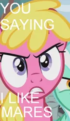 Size: 310x533 | Tagged: arial, cherry berry, derpibooru import, hiimdaisy, image macro, lyra heartstrings, meme, neon lights, persona, persona 4, rising star, safe, screencap, text, the super speedy cider squeezy 6000