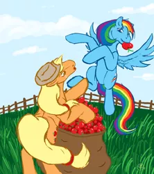 Size: 800x900 | Tagged: apple, applejack, artist:theantiferret, derpibooru import, rainbow dash, safe