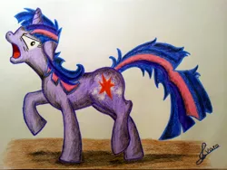 Size: 3264x2448 | Tagged: safe, artist:dgcdvaras, derpibooru import, twilight sparkle, angry, color, messy mane, pencil drawing, sketch