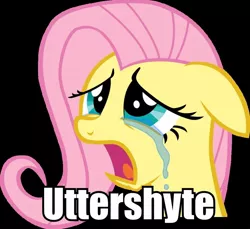 Size: 960x880 | Tagged: abuse, crying, drama bait, flutterbuse, fluttershy, image macro, safe, worst pony