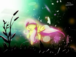 Size: 2844x2133 | Tagged: artist:graphicbrony, derpibooru import, fluttershy, safe, wallpaper