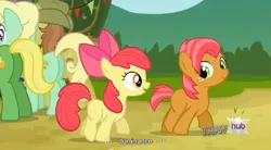 Size: 846x467 | Tagged: apple bloom, apple family reunion, apple honey, apple tarty, babs seed, derpibooru import, half baked apple, hub logo, safe, screencap, wensley, youtube caption