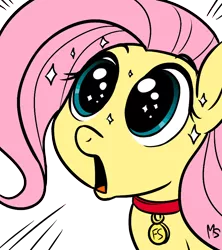 Size: 756x850 | Tagged: artist:csubakka, artist:megasweet, derpibooru import, fluttershy, futa fluttershy, reaction image, safe