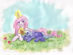 Size: 1049x800 | Tagged: artist:robd2003, brushie, brushing, derpibooru import, filly, moon-fall, pink-mane celestia, princess celestia, princess luna, safe, sleeping, traditional art, younger