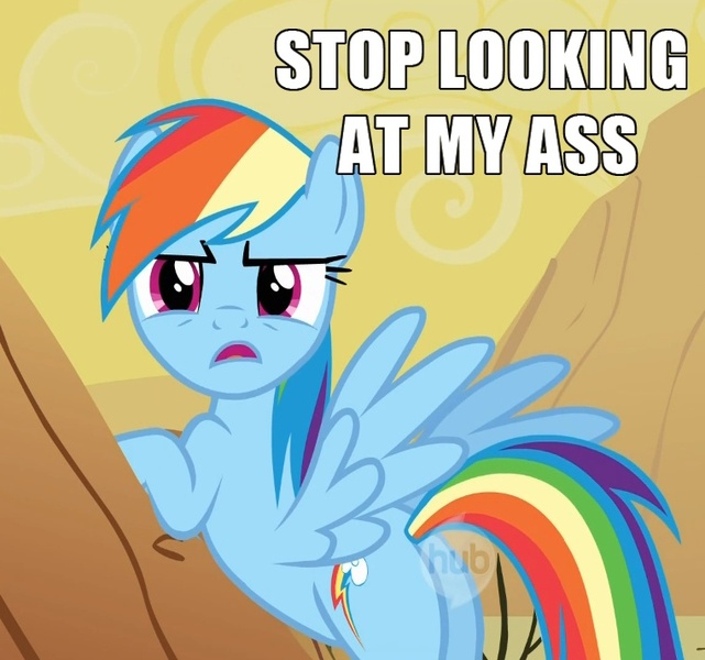 Size: 762x713 | Tagged: cropped, derpibooru import, desert, edit, edited screencap, hub logo, image macro, looking at you, over a barrel, plot, rainbow dash, safe, screencap, solo