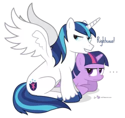 Size: 1380x1300 | Tagged: safe, artist:dm29, derpibooru import, shining armor, twilight sparkle, alicorn, pony, alicornified, brother and sister, colored hooves, duo, female, male, male alicorn, prince shining armor, race swap, righteous, simple background, spread wings, stallion, transparent background, wings