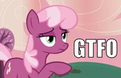 Size: 850x550 | Tagged: caption, cheerilee, derpibooru import, gtfo, image macro, reaction image, safe, vulgar