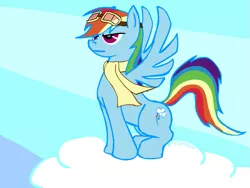 Size: 889x667 | Tagged: artist:tristikov, clothes, derpibooru import, goggles, rainbow dash, safe, scarf, solo