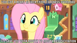 Size: 947x533 | Tagged: safe, derpibooru import, fluttershy, cute, faic, heart attack, hnnng, image macro
