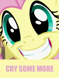 Size: 375x500 | Tagged: safe, derpibooru import, fluttershy, heavyshy, imageboard