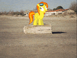 Size: 266x199 | Tagged: animated, derp, derpibooru import, dolly zoom, forced perspective, ponies in real life, safe, spitderp, spitfire, wat