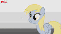 Size: 500x281 | Tagged: safe, artist:ralek, derpibooru import, derpy hooves, fly, pegasus, pony, animated, camera, camera shot, cute, derpabetes, female, mare, record, static, youtube link